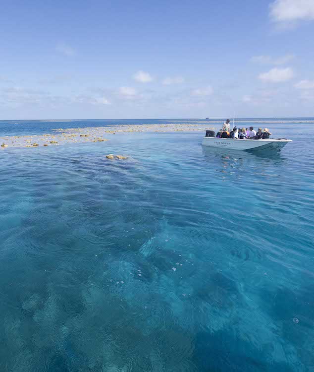 The Outer Reef