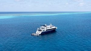 Rowley Shoals Cruise 1