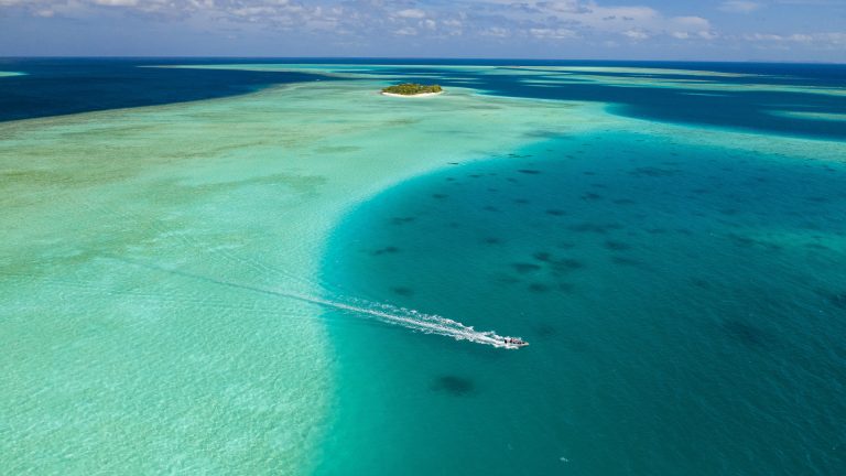 Adventures in Paradise cruise