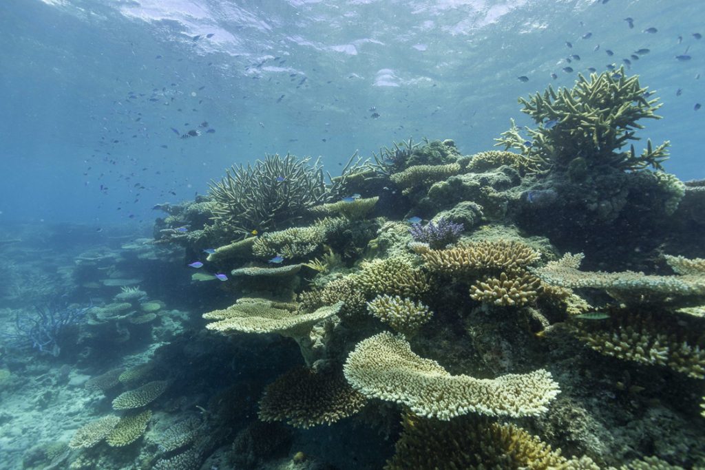 Egum Atoll 