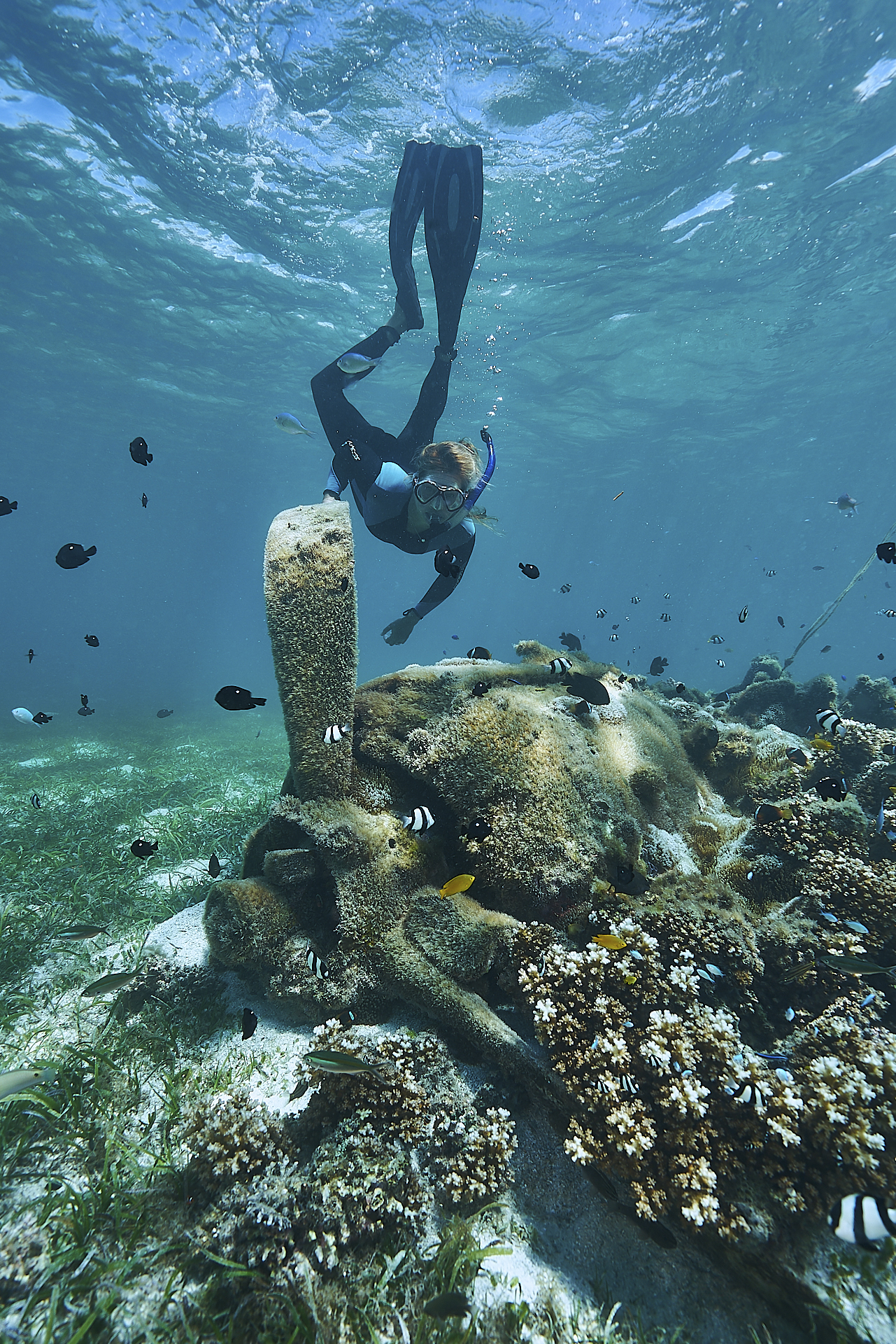 Diving & Snorkeling in PNG