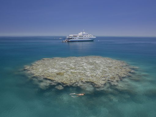 Diving & Snorkeling