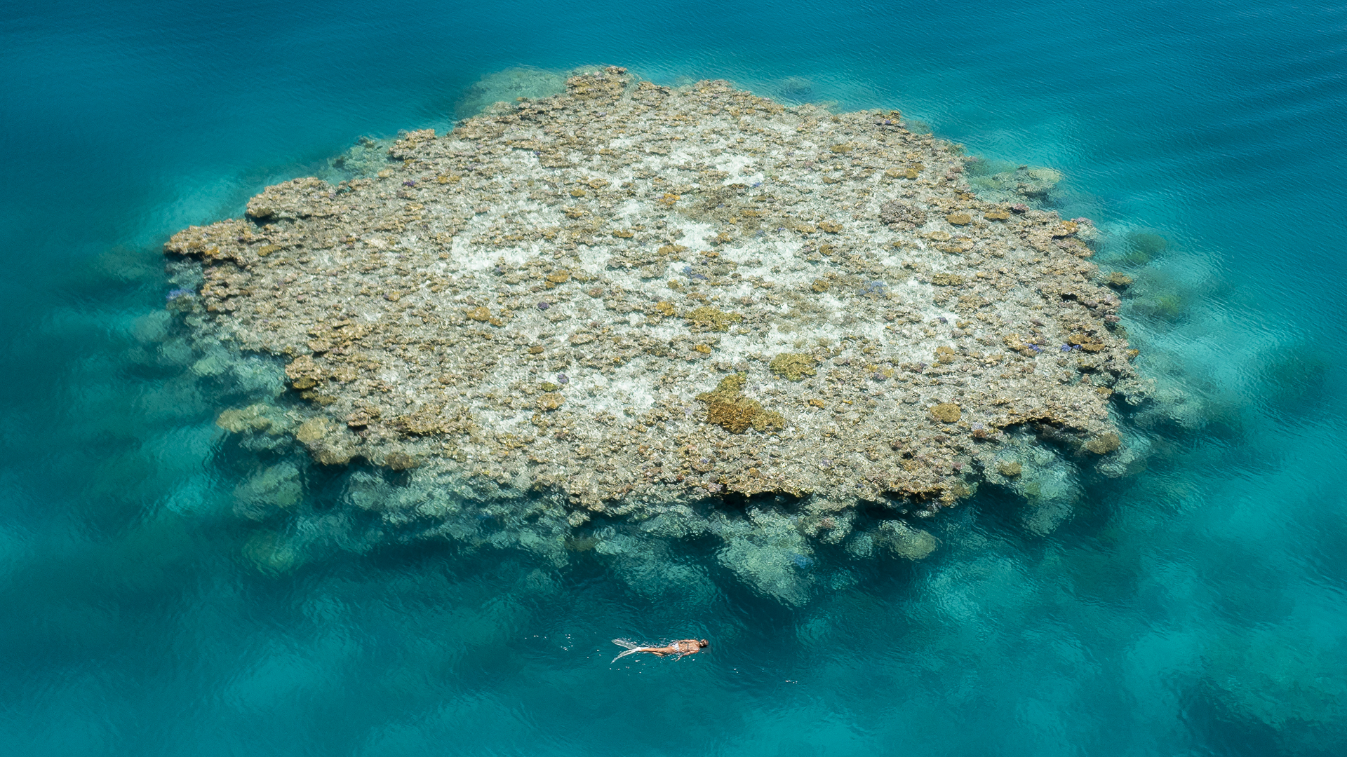 Great Barrier Reef Cruises from Cairns to Brisbane