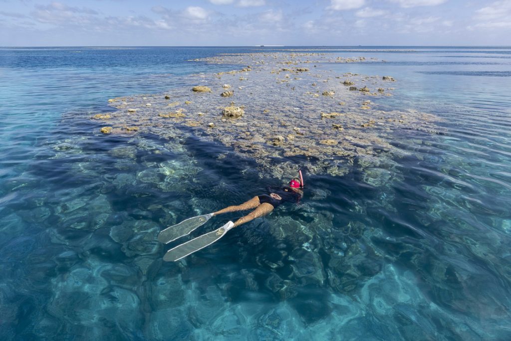 Nature's Aquarium