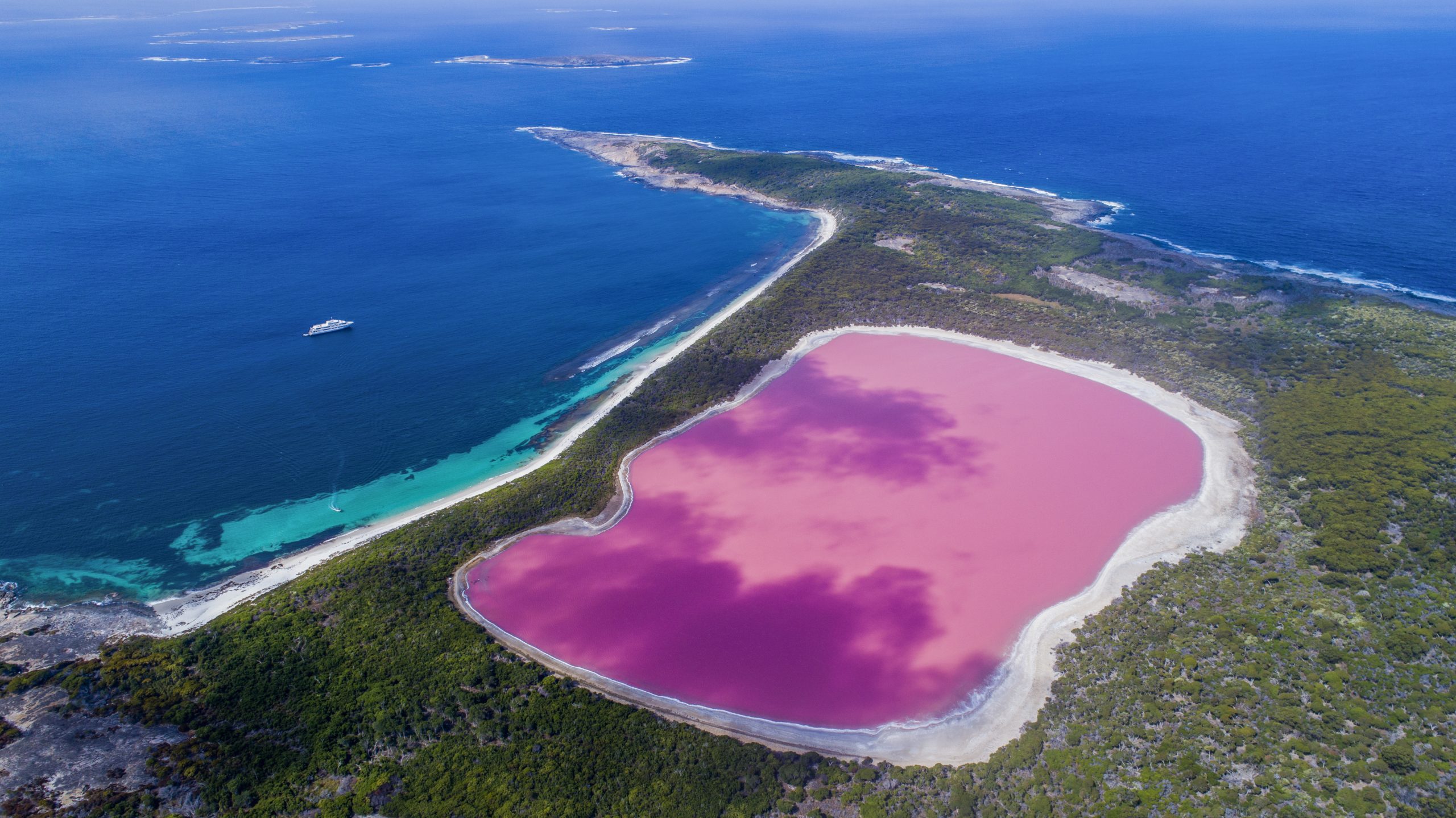 Agent Image Gallery 301 Treu North Lake Hillier scaled
