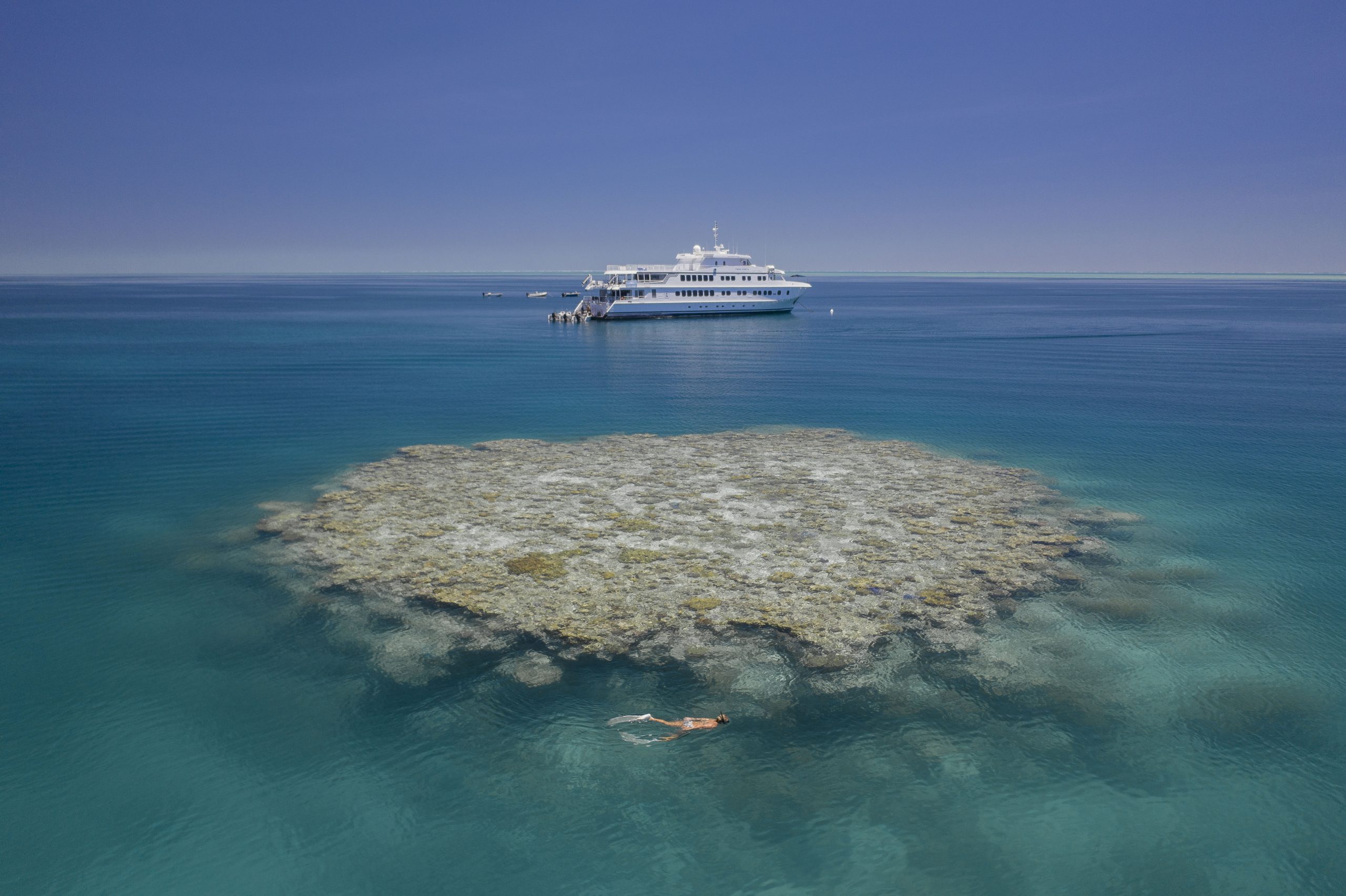 Agent Image Gallery 319 True North Cruise at Rowley shoals