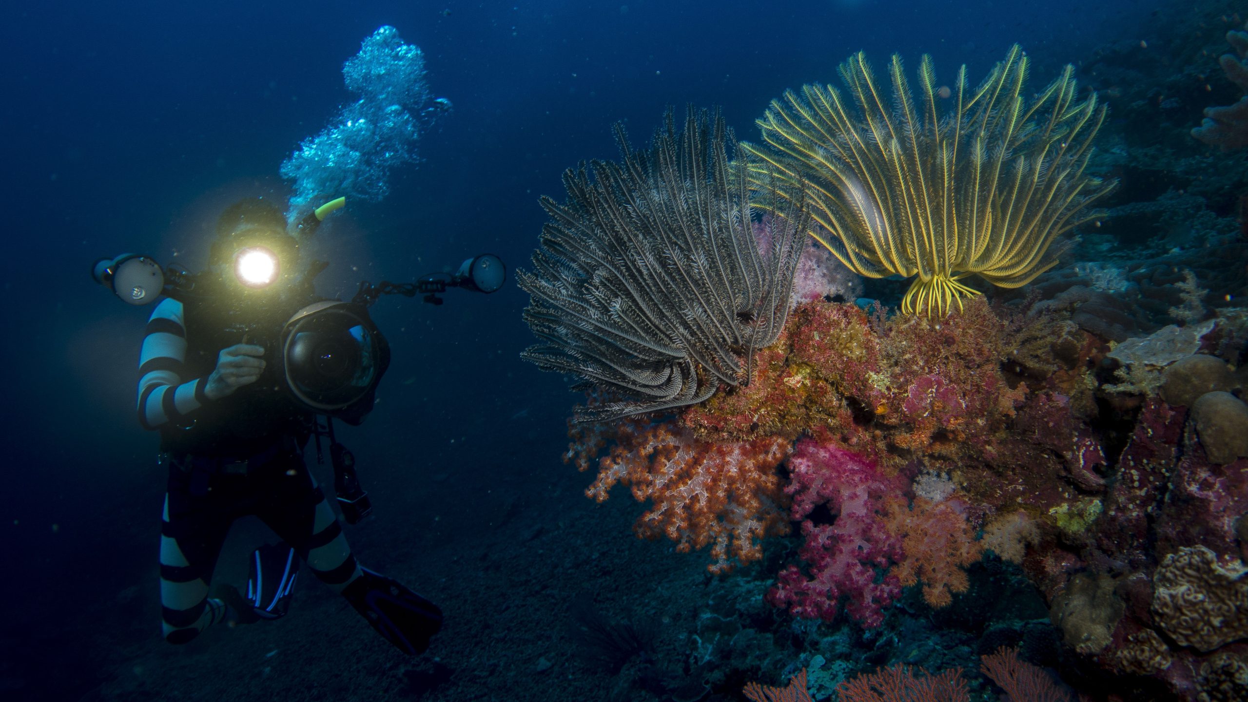 Agent Image Gallery 246 TrueNorth Diving 04598 scaled