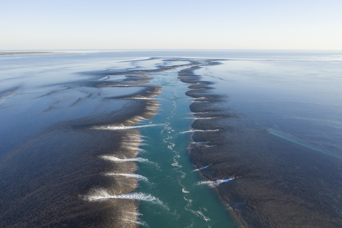 Montgomery Reef