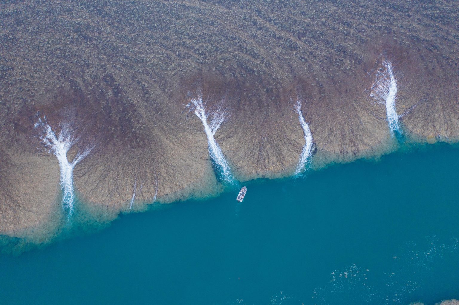 Montgomery Reef