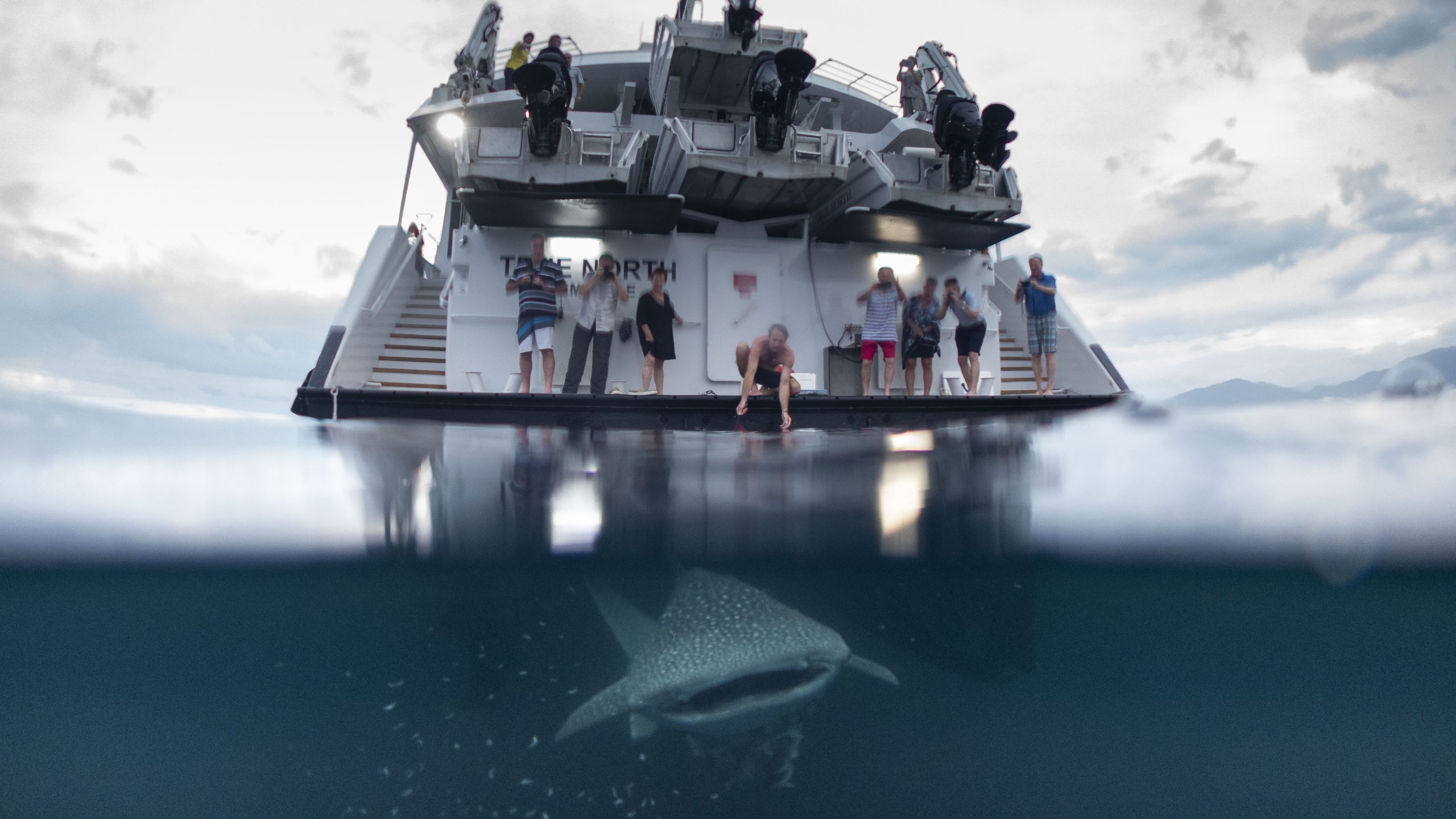 Agent Image Gallery 182 OO UM 2025 3 2 1 scaled