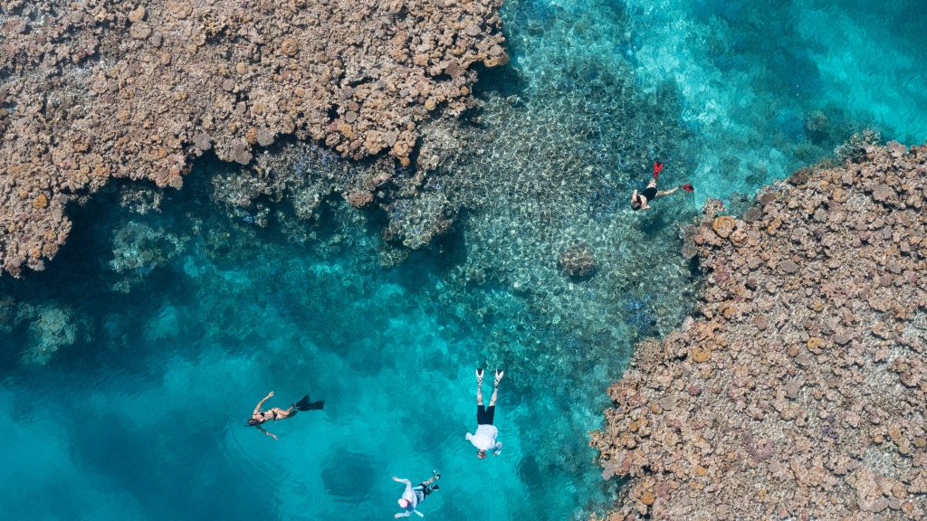 Great Barrier Reef: The Highlights