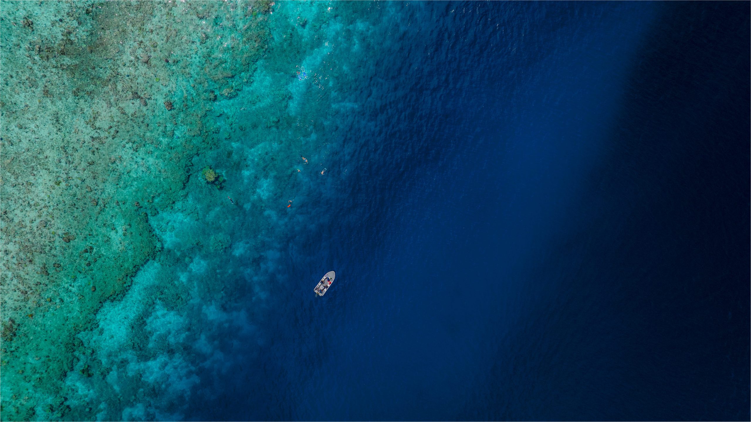 Aerial view of a small boat floating near the edge of a vibrant coral reef on the Great Barrier Reef, with snorkellers exploring the shallow turquoise waters as the reef drops into deep blue ocean